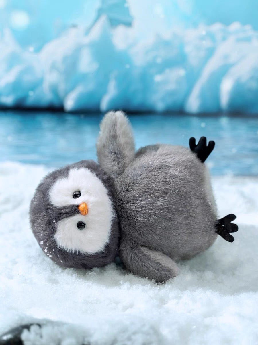 🌼Penguin🐧