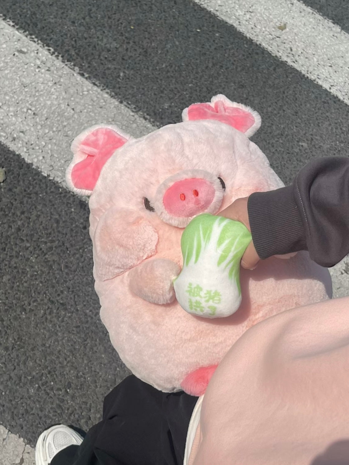 🐽Pig🥬 and 🐶Dog🍗